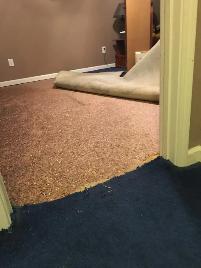 Carpet pad removal revealing water damage during Drying & Dehumidification in Commerce