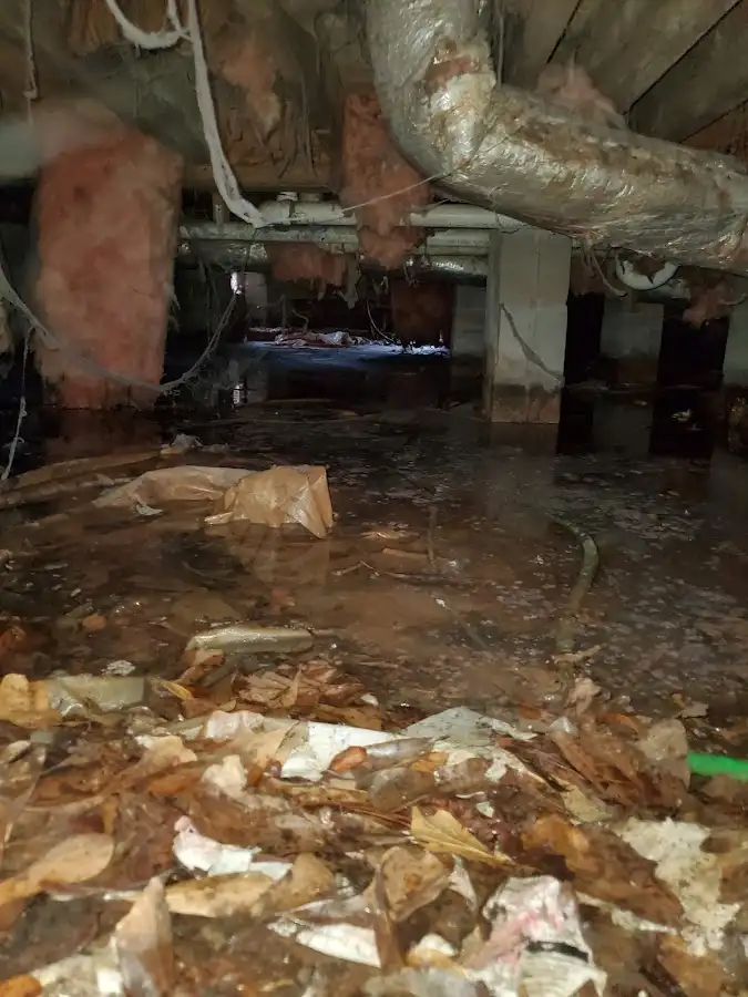 Crawl space flood assessment for Leak Detection & Repair in Commerce