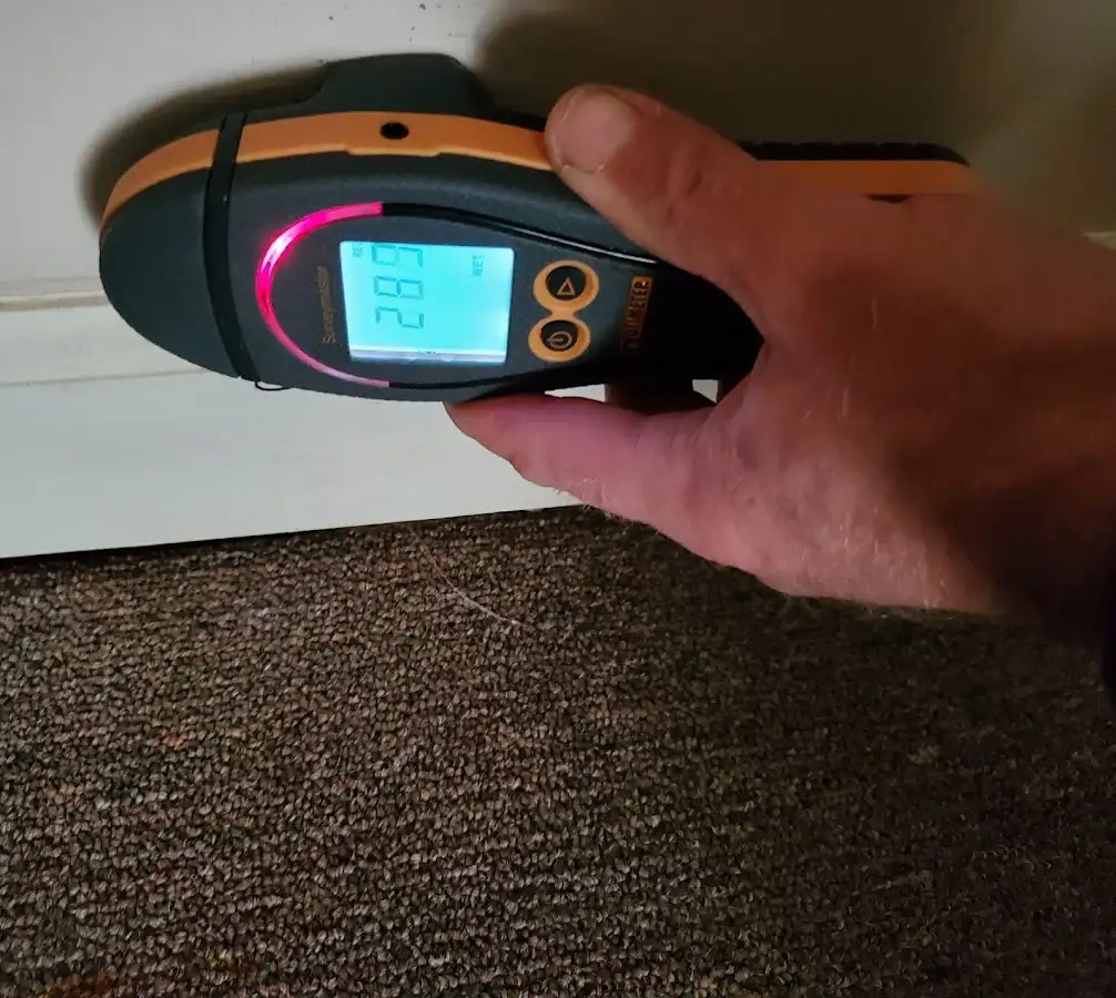 Moisture detection at baseboard during Sewage Cleanup & Sanitation in Commerce